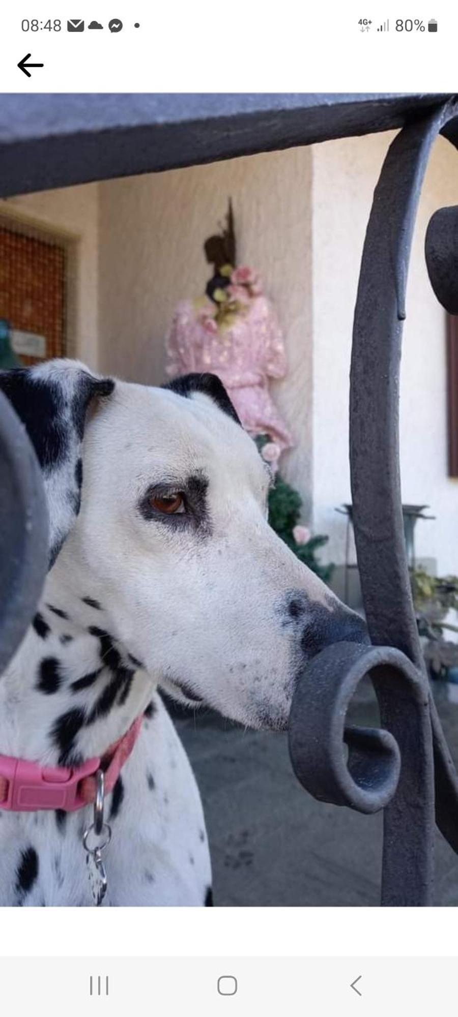 B&B La Gerbolina San Giusto Canavese Dış mekan fotoğraf