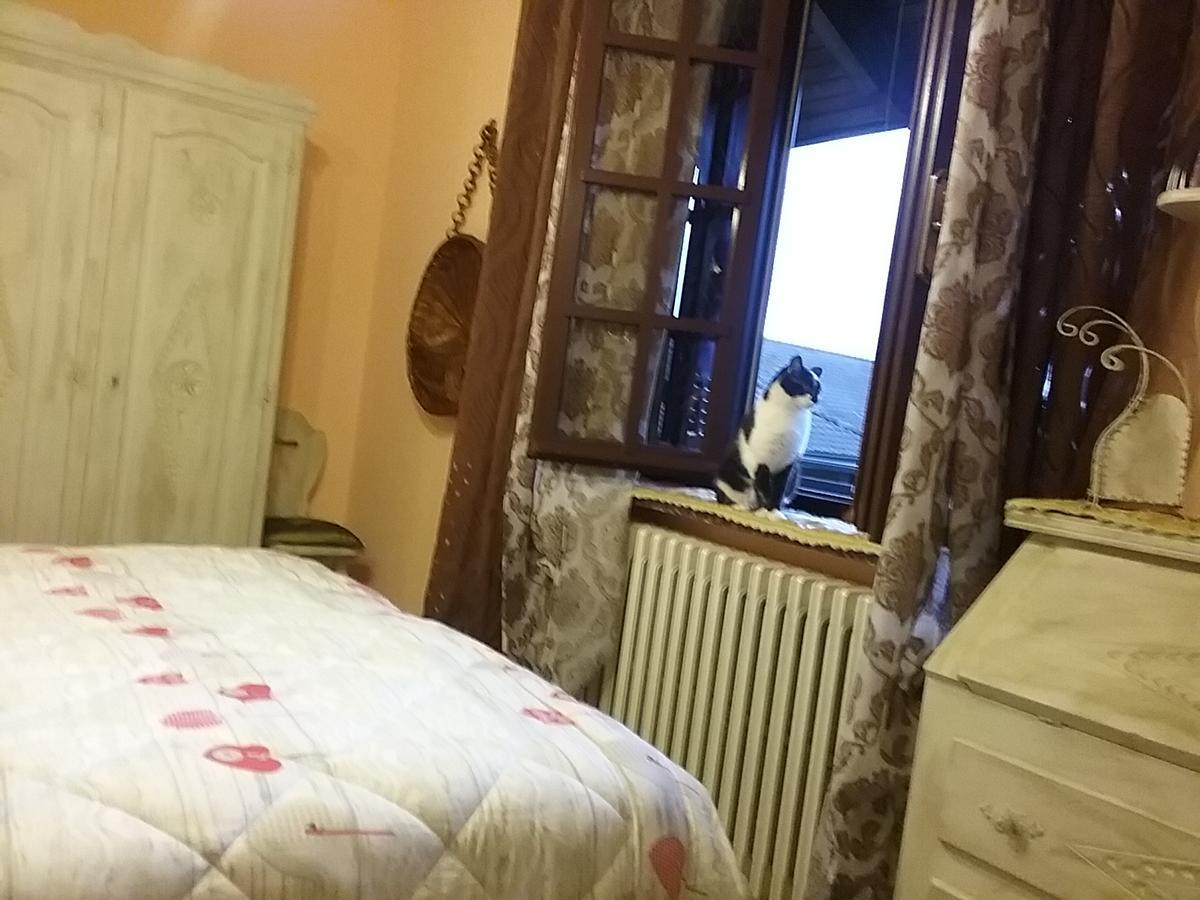 B&B La Gerbolina San Giusto Canavese Dış mekan fotoğraf