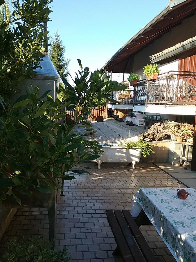 B&B La Gerbolina San Giusto Canavese Dış mekan fotoğraf